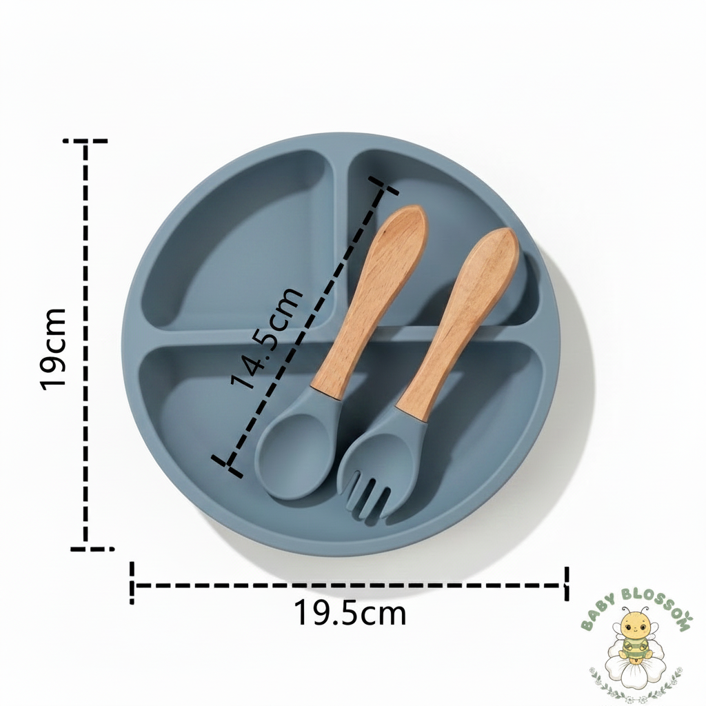 Silicone Plate Empty No Food