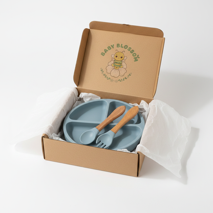 Silicone Plate Packaging